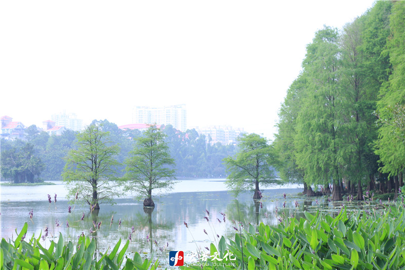 IMG_6414_副本.jpg
